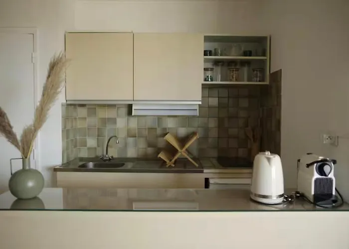 Apartment Esperanza Vue Bassin & Port Piscine Parking Prive Terrasse Arcachon